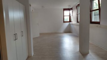 Esslingen-Sulzgries: Renovierte 1-Zimmer Wohnung 73733 Esslingen, Erdgeschosswohnung